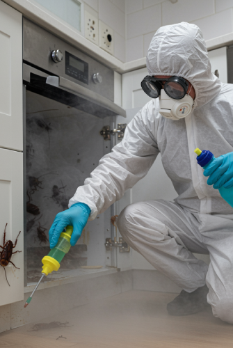 إبادة الحشرات في الأماكن التجارية