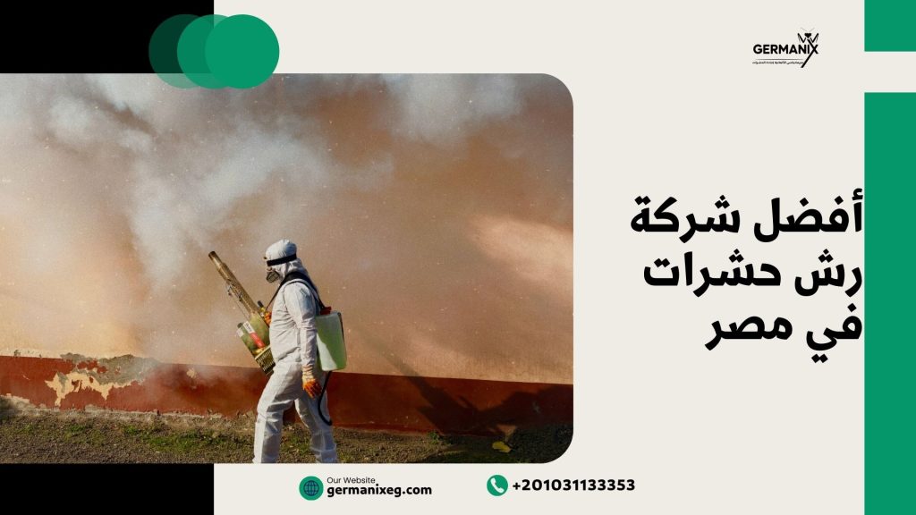 أفضل شركة رش حشرات في مصر