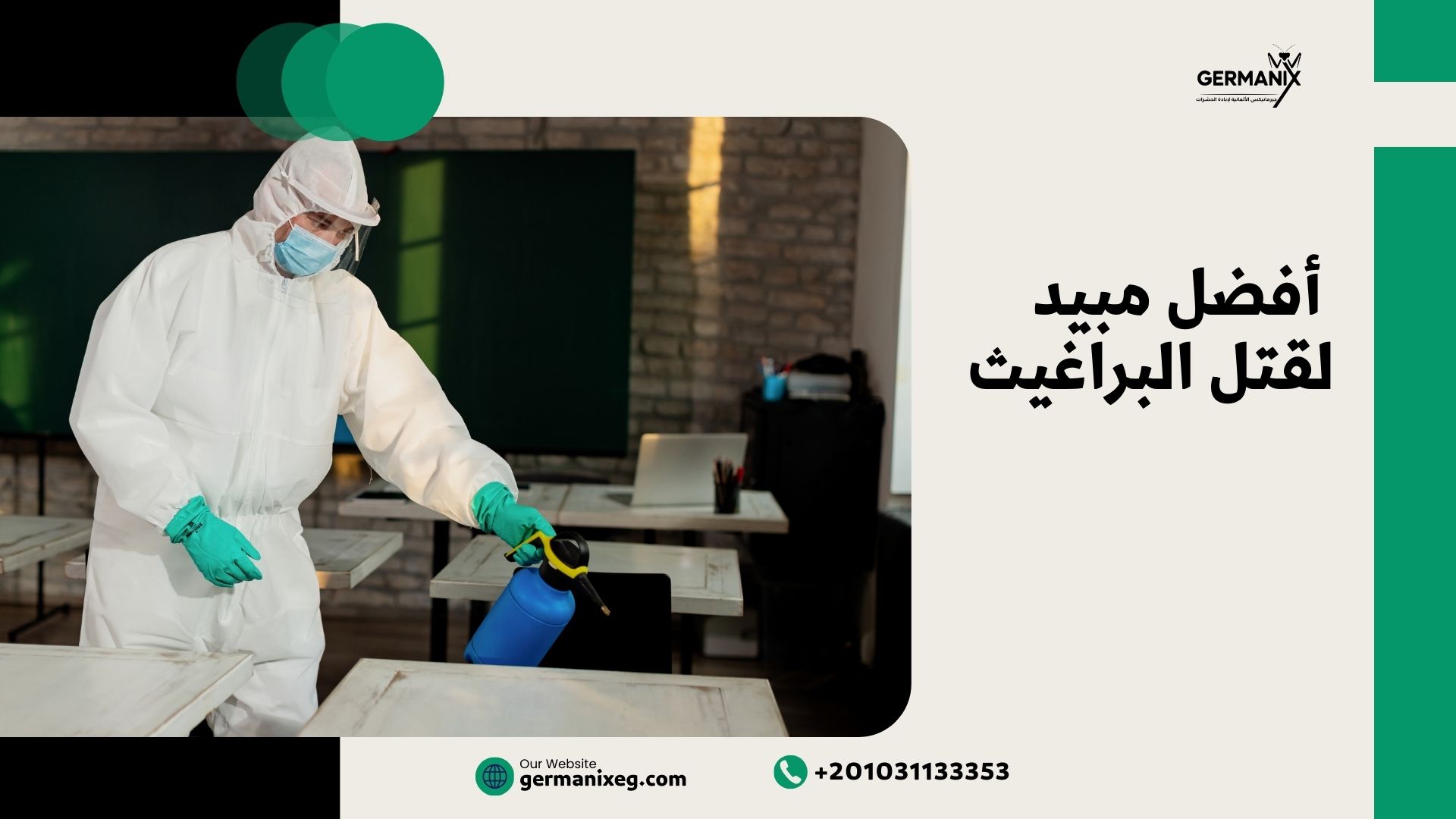 أفضل مبيد لقتل البراغيث