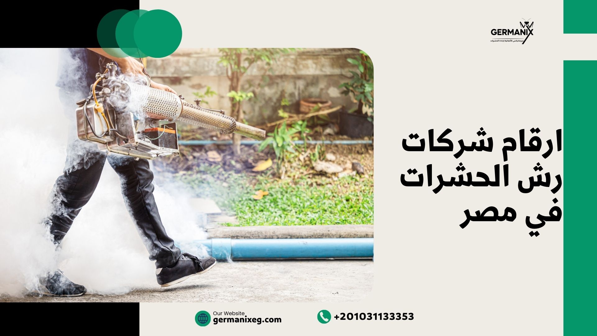 أرقام شركات رش الحشرات في مصر