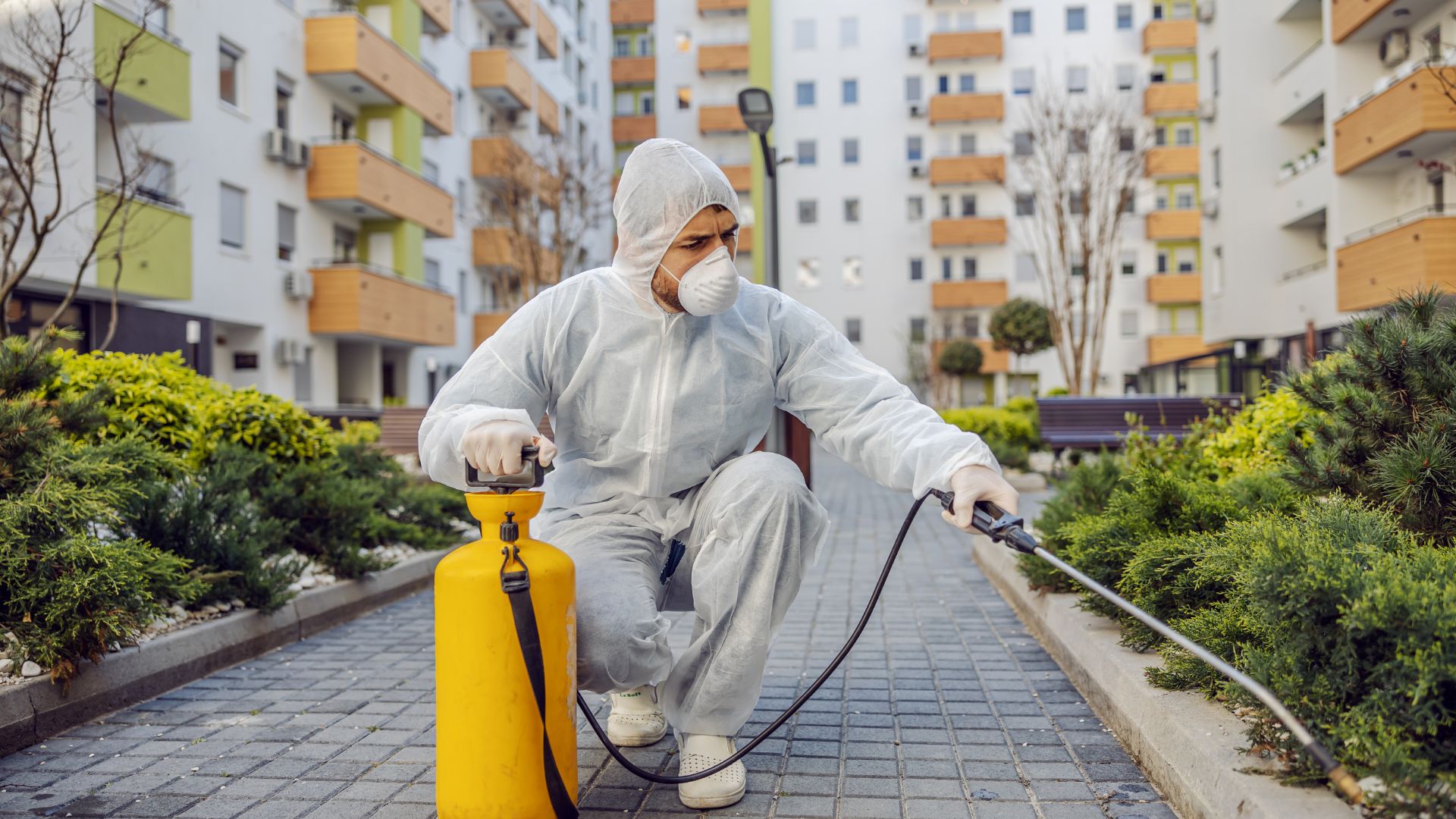 خدمات إبادة الحشرات