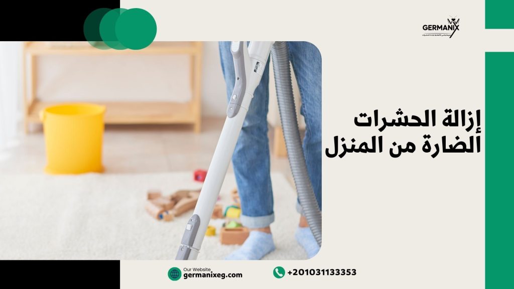 إزالة الحشرات الضارة من المنزل