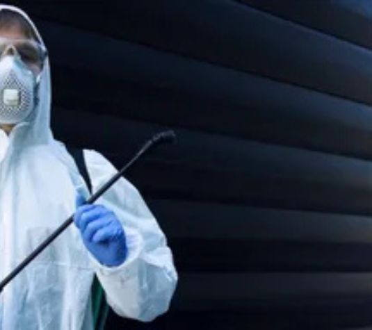 خدمات رش حشرات فعّالة ومضمونة