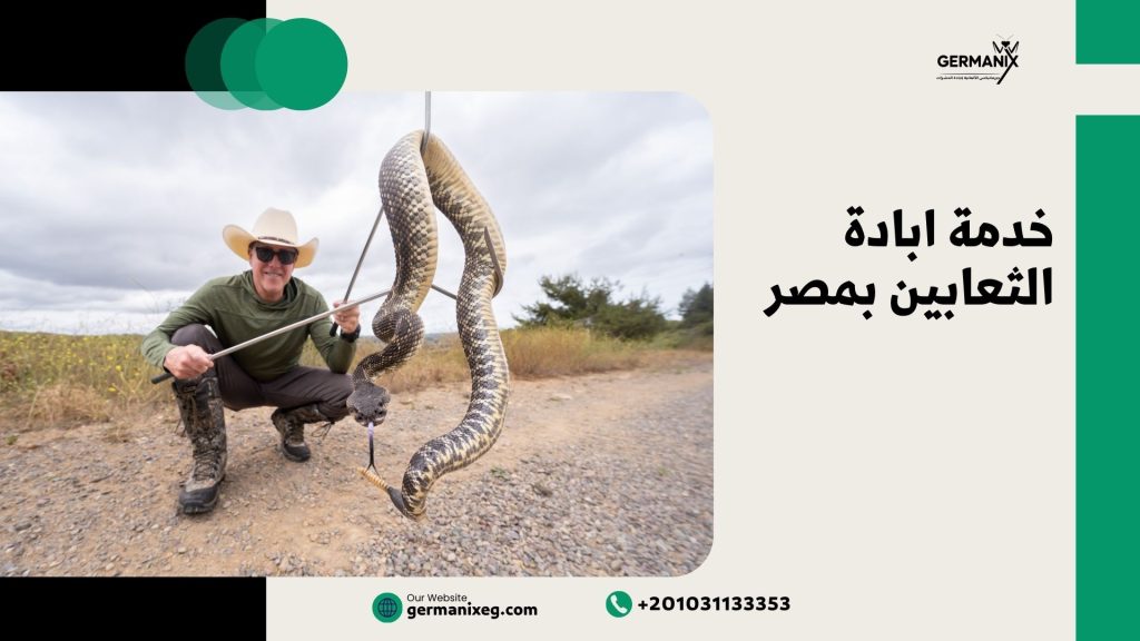 خدمة ابادة الثعابين بمصر