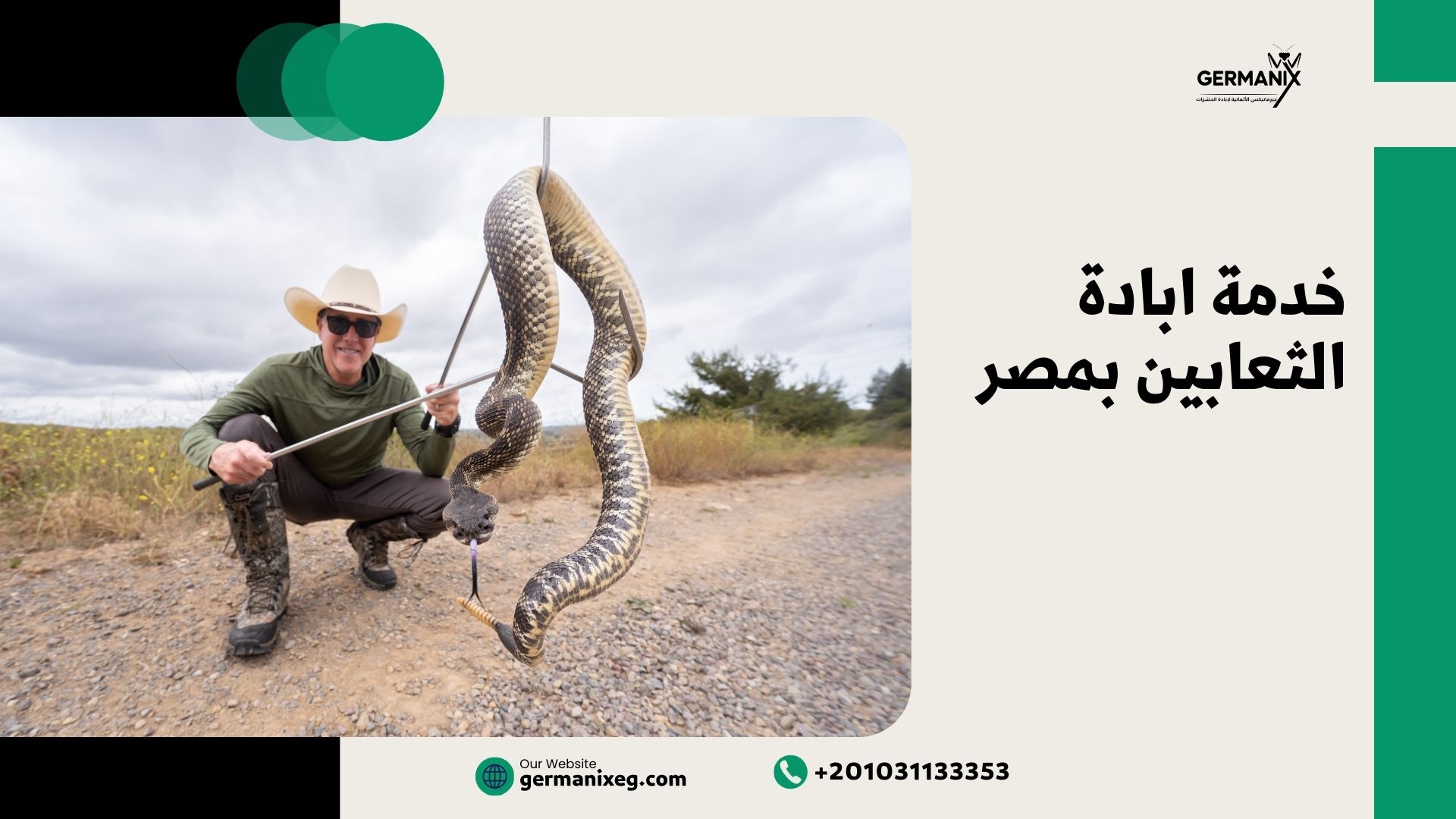 خدمة ابادة الثعابين بمصر