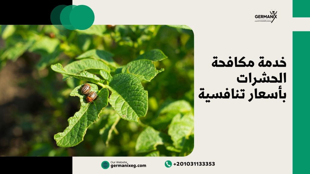 خدمة مكافحة الحشرات بأسعار تنافسية