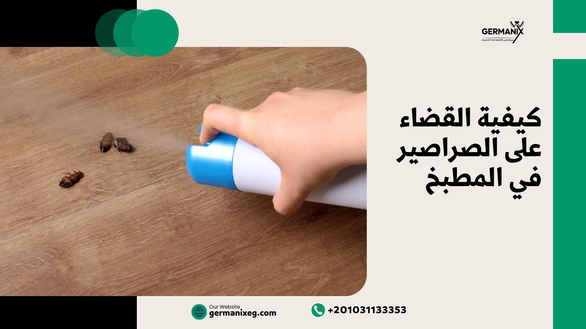 كيفية القضاء على الصراصير