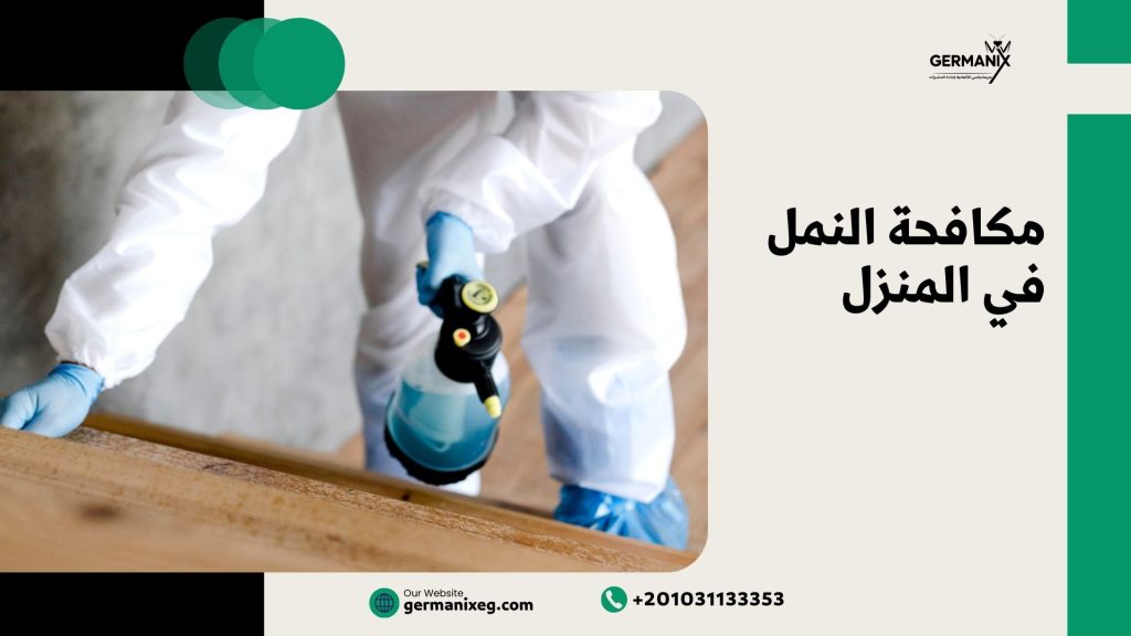 مكافحة النمل في المنزل