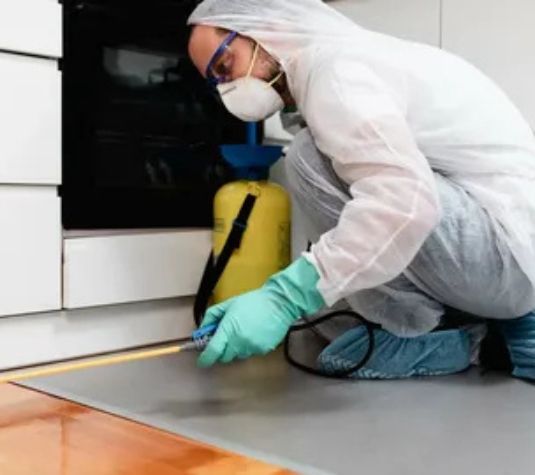 أرقام شركات إبادة الفئران في مصر