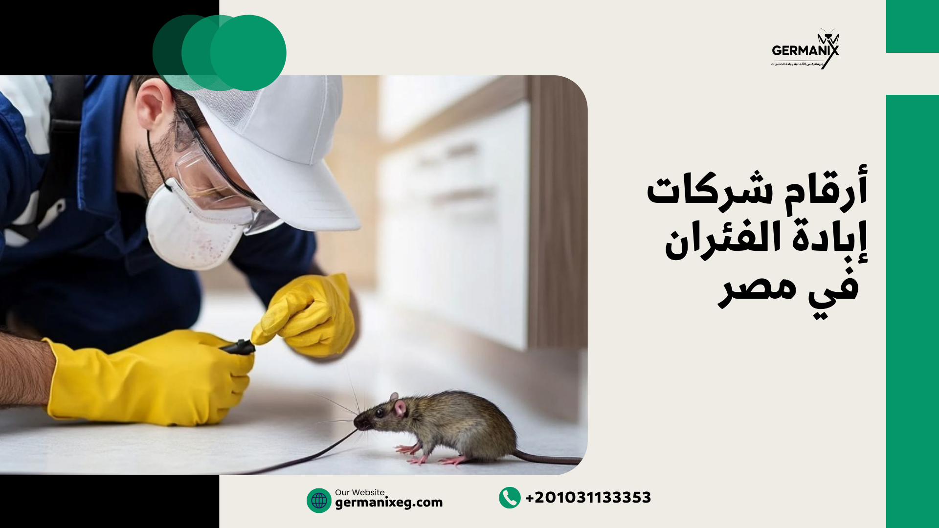 أرقام شركات إبادة الفئران في مصر