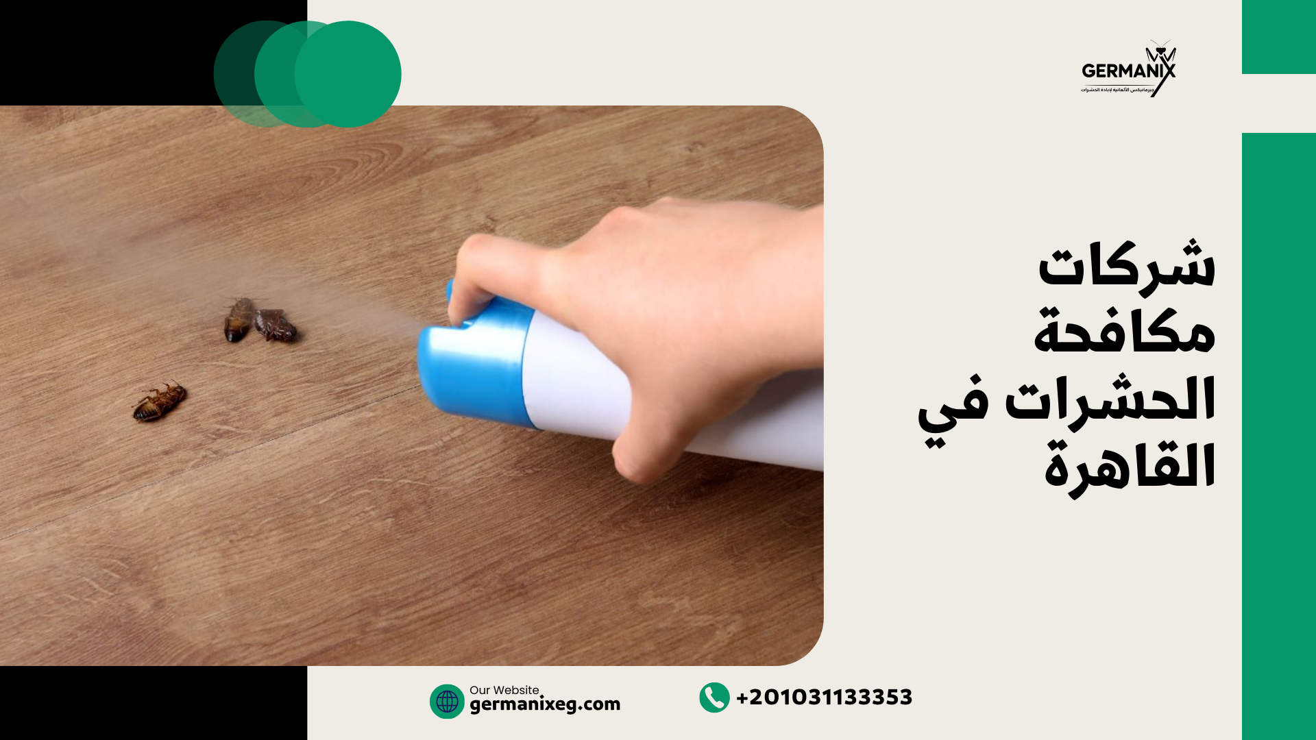 شركات مكافحة الحشرات في القاهرة