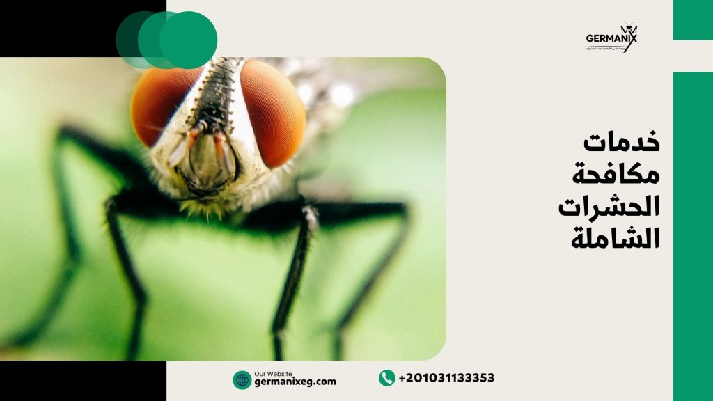 خدمات مكافحة الحشرات الشاملة