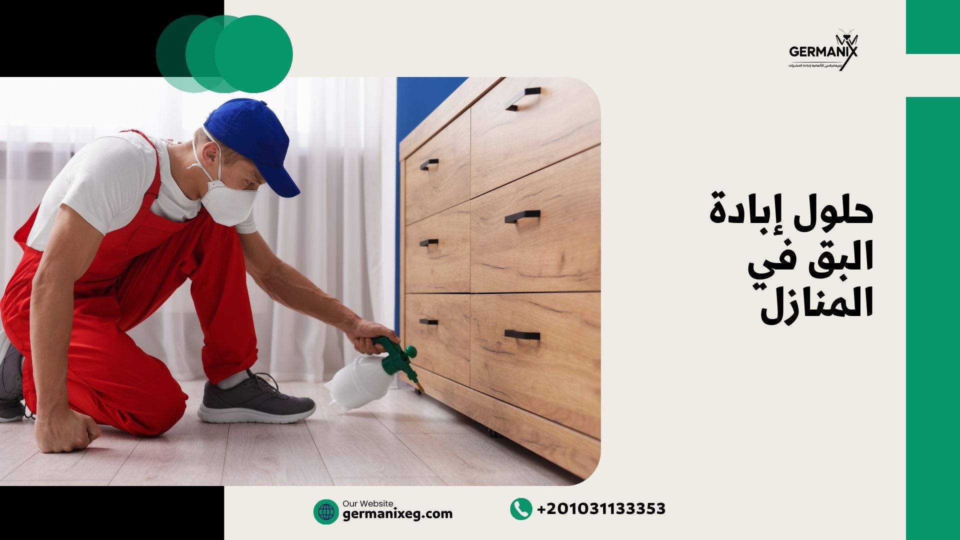 حلول إبادة البق في المنازل