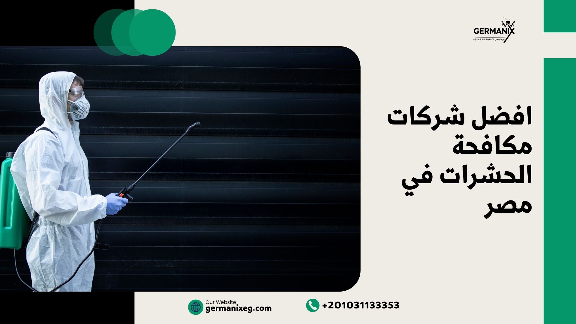 أفضل شركات مكافحة الحشرات في مصر