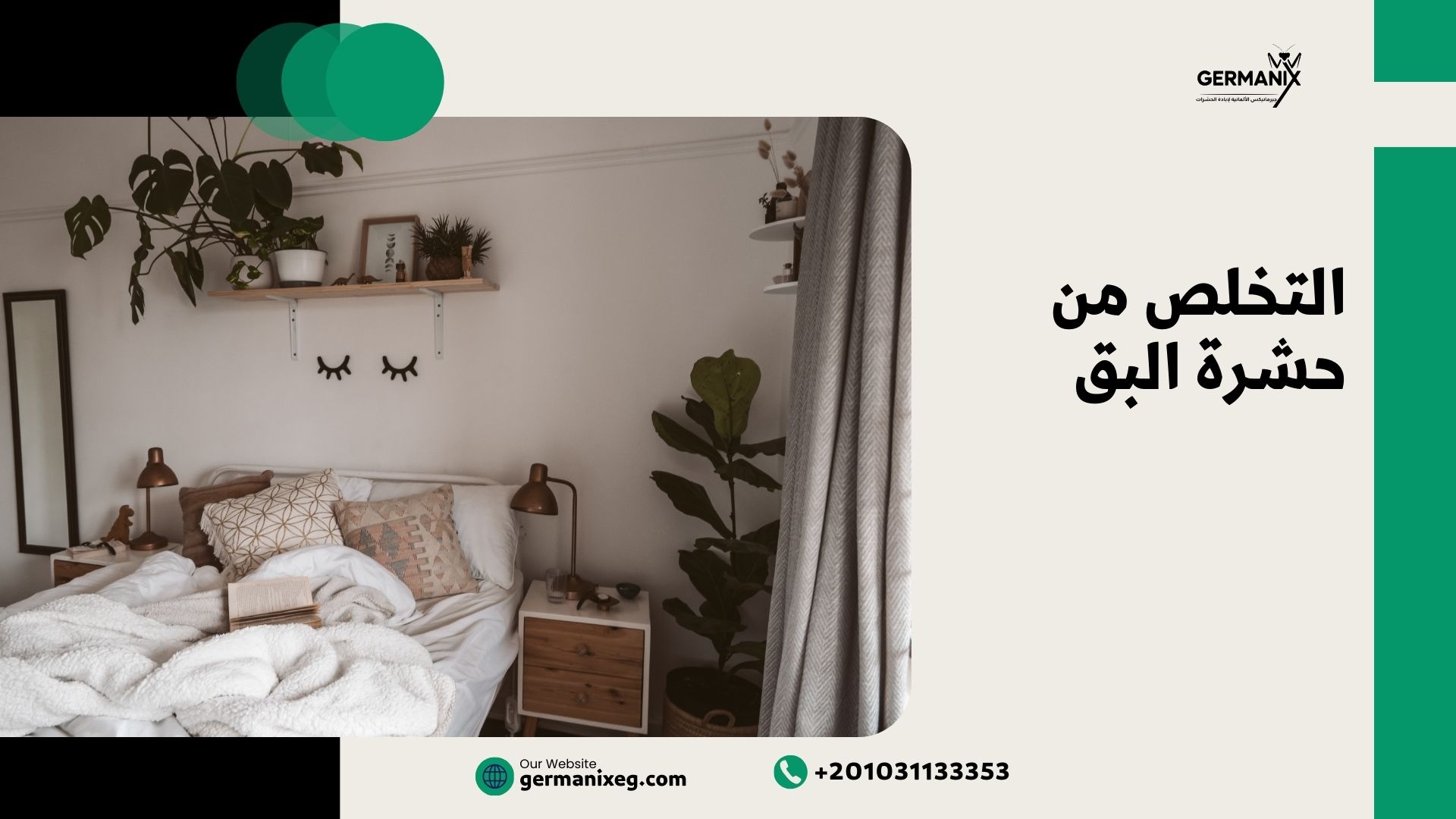 التخلص من حشرة البق