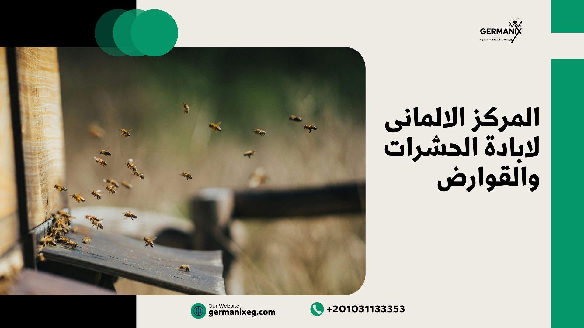 المركز الألماني لإبادة الحشرات والقوارض