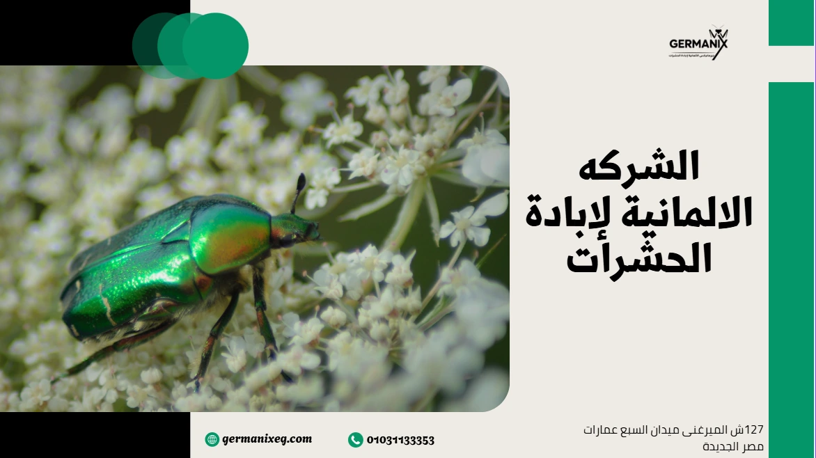 الشركه الالمانية لإبادة الشركه الالمانية لإبادة الحشراتالحشرات