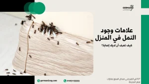 علامات وجود النمل في المنزل