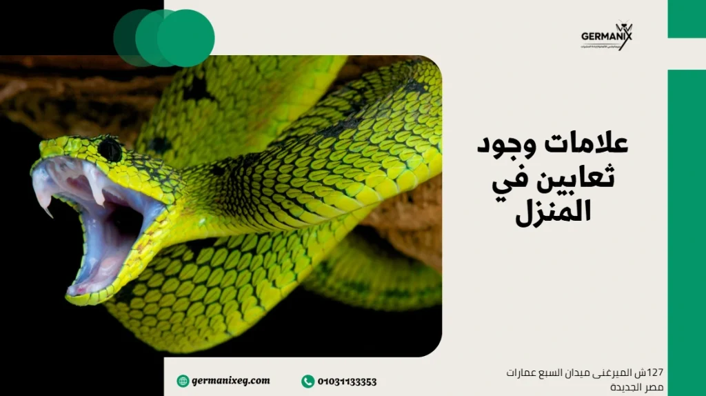 علامات وجود ثعابين في المنزل
