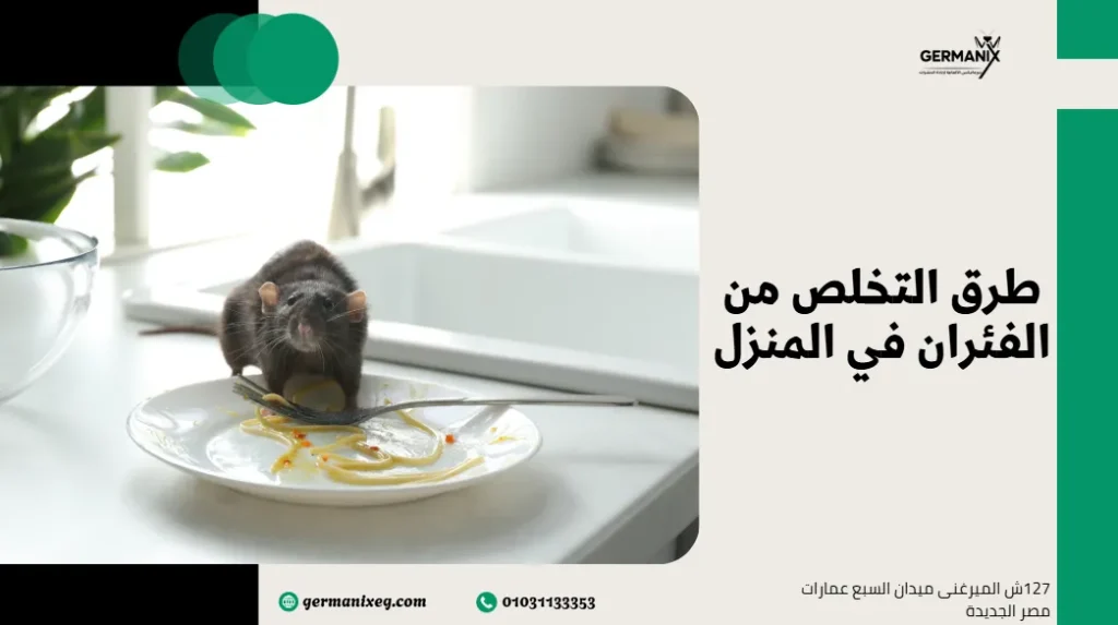 طرق التخلص من الفئران في المنزل