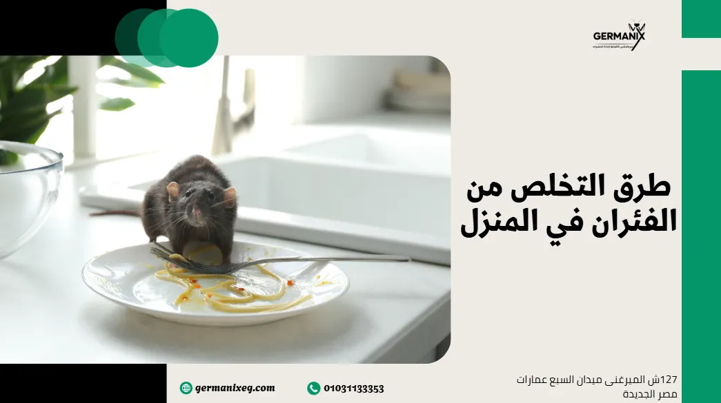 طرق التخلص من الفئران في المنزل